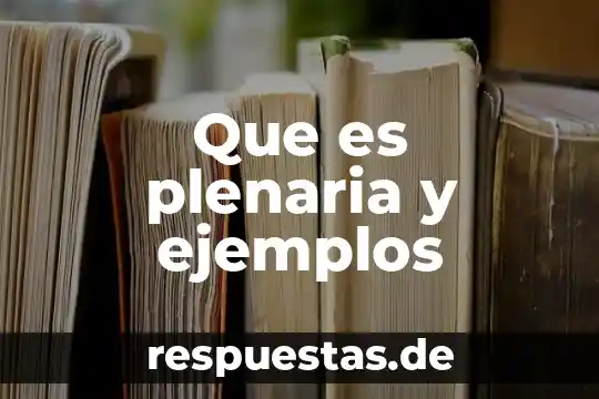 Que es plenaria y ejemplos