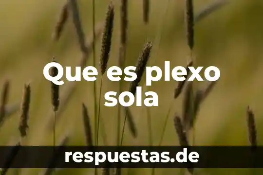 Qué es sola transferencia 5 Que es plexo sola