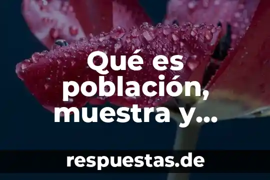 Qué es población, muestra y parámetro en estadística
