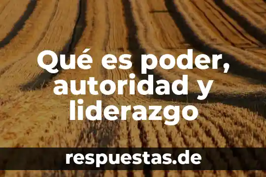 Qué es ralacines de autoridad 8 Qué es poder, autoridad y liderazgo