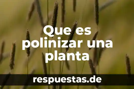 Escala de la planta que es 7 Que es polinizar una planta