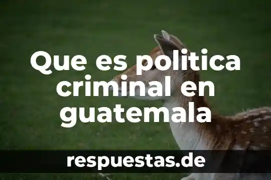 Investigar qué es la política en la historia 7 Que es politica criminal en guatemala