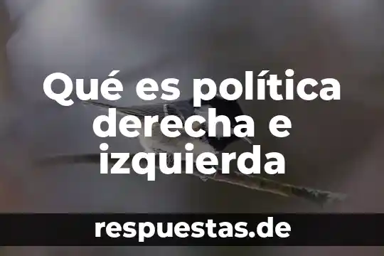 Que es ser izquierda o derecha 6 Qué es política derecha e izquierda