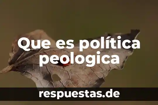 Qué es capm en valores 8 Que es política peologica