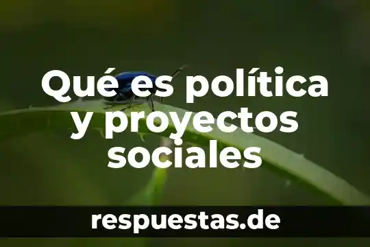 Que es la mercadotecnia en las redes sociales 5 Qué es política y proyectos sociales