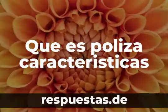 Que es la sociedad cooperativa y sus caracteristicas 3 Que es poliza caracteristicas
