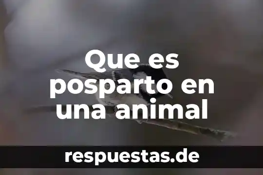 Qué es el maltrato animal y cómo se cataloga 3 Que es posparto en una animal