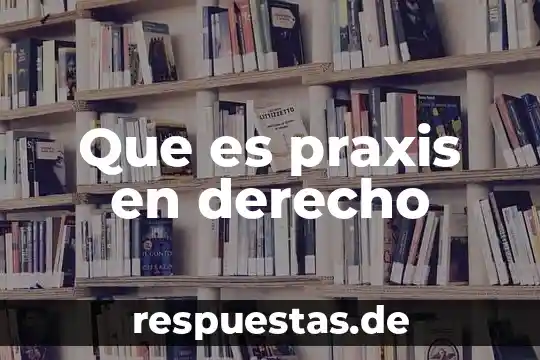 Que es praxis en derecho