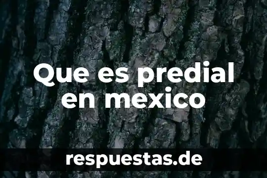 Parte del animal que es el new york 7 Que es predial en mexico