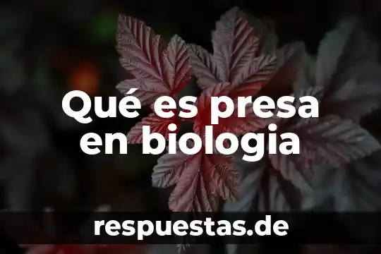 Que es la bomba de na k en biologia 3 Qué es presa en biologia