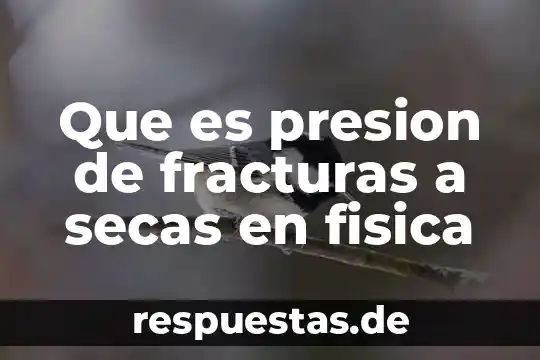 Que es reaccion significado fisica 4 Que es presion de fracturas a secas en fisica