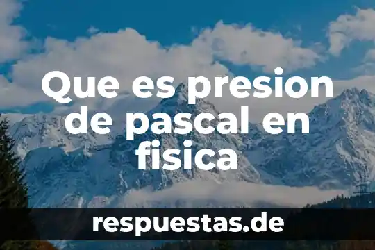 Que es lo que investigo bais e pascal en calculo 8 Que es presion de pascal en fisica