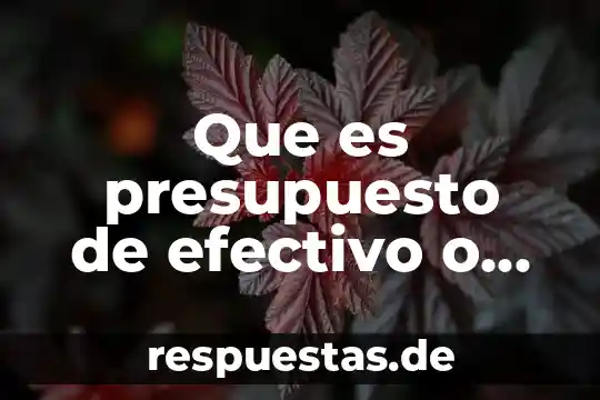 Que es presupuesto de efectivo o flujo de caja
