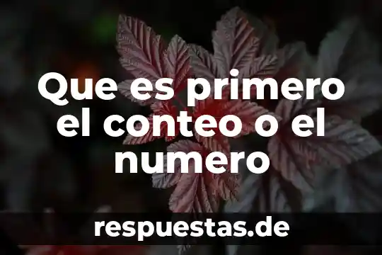 Que es el principio aditivo en tecnicas de conteo 3 Que es primero el conteo o el numero