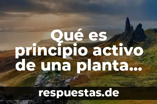 Que es un divisor de señal activo 8 Qué es principio activo de una planta medicinal
