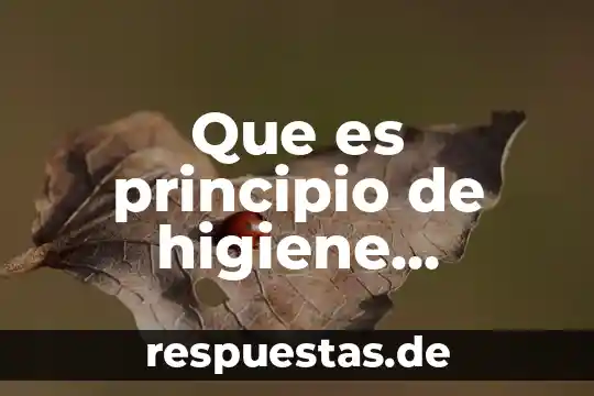 Qué es obra de principio 4 Que es principio de higiene industrial