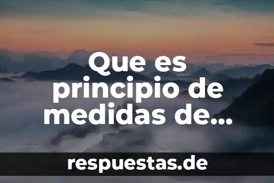 Que es principio de medidas de internamiento en mexico