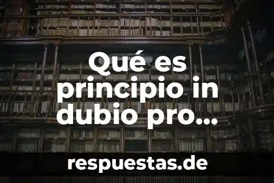 Que es pro nombre en ingles 8 Qué es principio in dubio pro operario en México