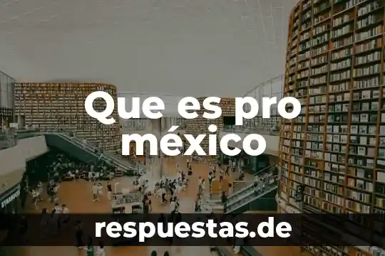 Que es pro nombre en ingles 6 Que es pro méxico