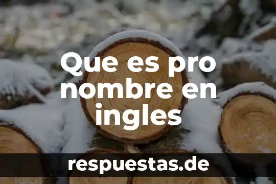 Adobe premiere pro ultimate guides que es 3 Que es pro nombre en ingles