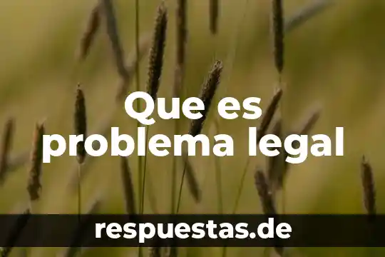 Que es el nombre legal en derecho 8 Que es problema legal