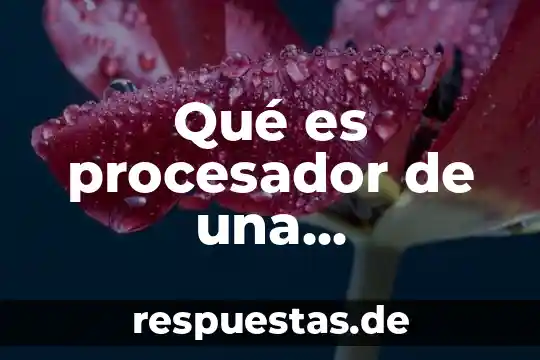 Qué es un troyano de computadora 4 Qué es procesador de una computadora
