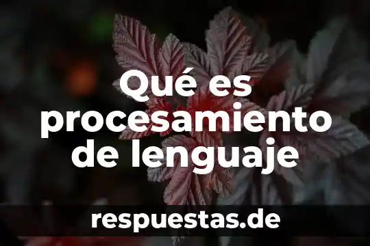 Que es la teoria del procesamiento dela informacion 4 Qué es procesamiento de lenguaje