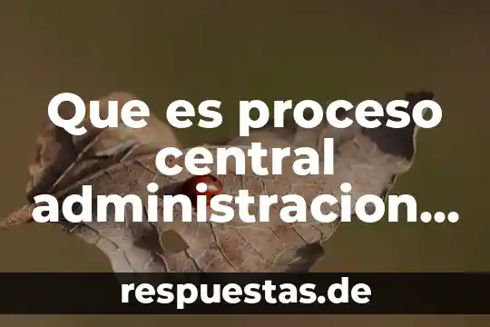 Que es operaciones con valores absolutos 3 Que es proceso central administracion de operaciones
