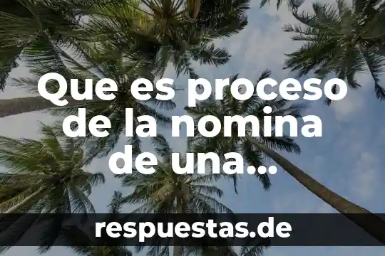 Que es un proceso de escenificacion de la danza 4 Que es proceso de la nomina de una empresa