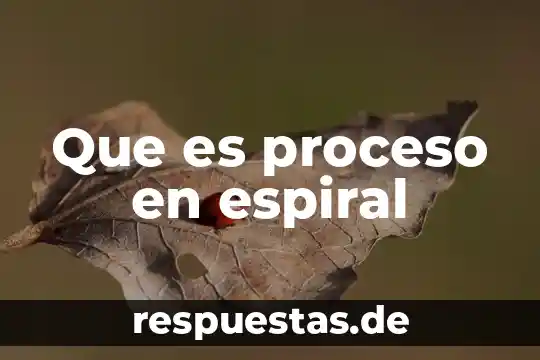 Que es modelo en espiral 8 Que es proceso en espiral