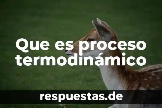 Que es un sistema termodinamico en fisica 5 Que es proceso termodinámico