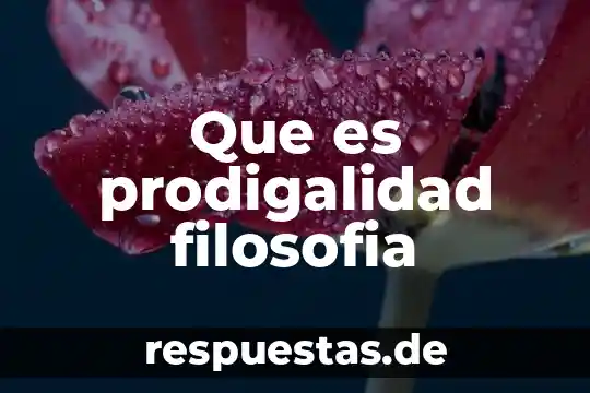 Qué es bricolaje en filosofía 3 Que es prodigalidad filosofia