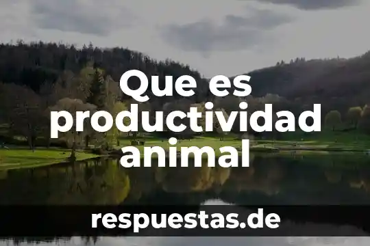 Por que el hombre se dice que es animal 5 Que es productividad animal