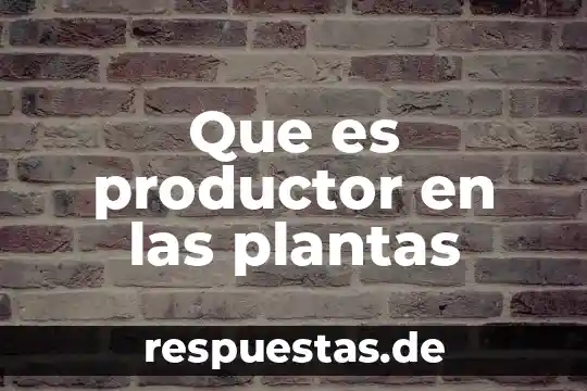 Nombres de plantas medicinales y que es lo que cura 3 Que es productor en las plantas