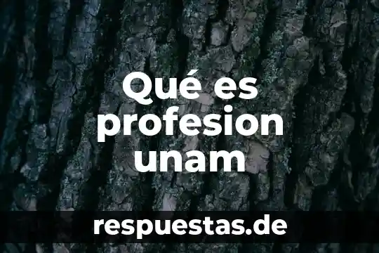 Que es la personalidad de concepto 5 Qué es profesion unam