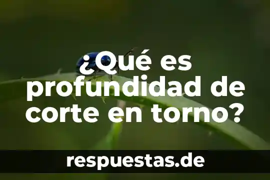 ¿Qué es profundidad de corte en torno?