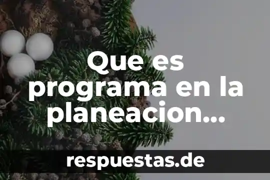 Que es evasivos significado 5 Que es programa en la planeacion educativa