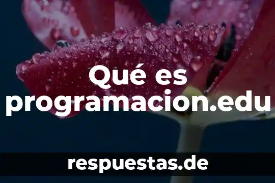 Qué es programacion.edu