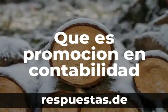 Que es devoluciones sobre venta en contabilidad 8 Que es promocion en contabilidad