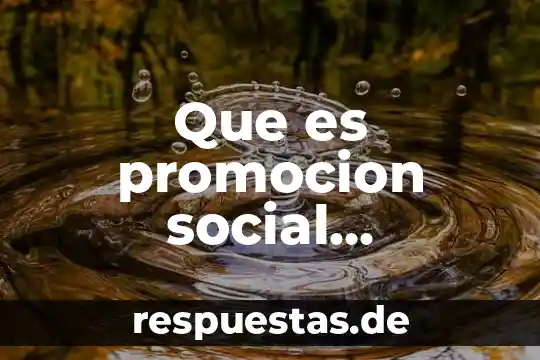 Que es promocion social concepto