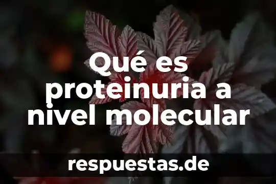 Que es la estructura molecular de la materia 8 Qué es proteinuria a nivel molecular