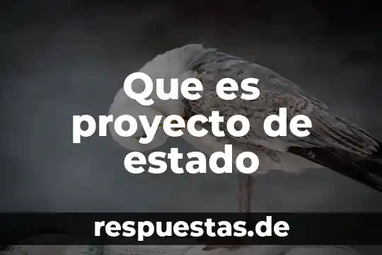 Que es el saldo anterior en los estado de cuenta 5 Que es proyecto de estado