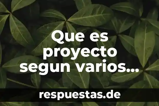 Qué es auditoria administrativa según varios autores 3 Que es proyecto segun varios autores