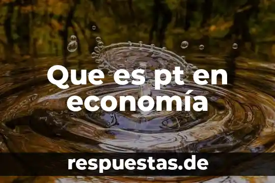 Que es erario en economia 3 Que es pt en economía