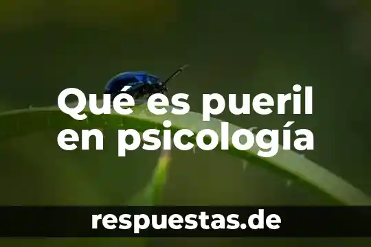 Qué es pueril en psicología