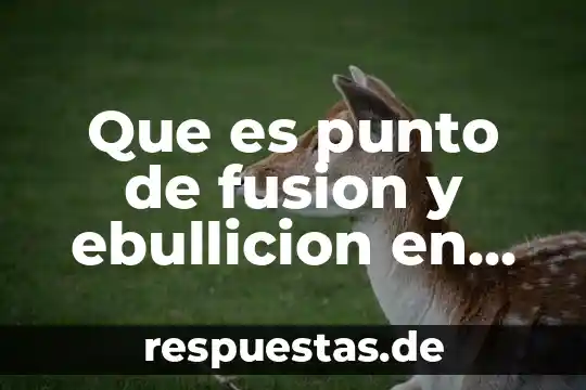Que es punto de fusion concepto 3 Que es punto de fusion y ebullicion en quimica