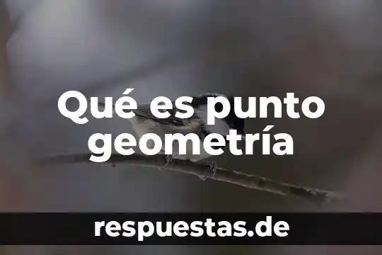Qué es la geometría plana el significado 5 Qué es punto geometría
