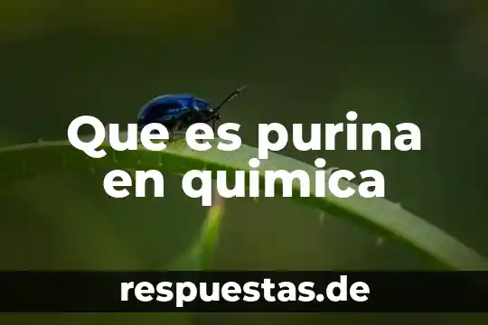 Que es mutaciones geneticas en quimica 6 Que es purina en quimica