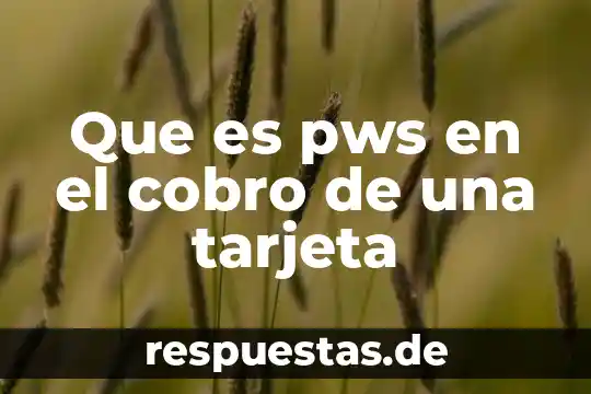 Qué es bin de la tarjeta 4 Que es pws en el cobro de una tarjeta