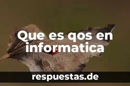 Que es la busqueda de existencia informatica 6 Que es qos en informatica